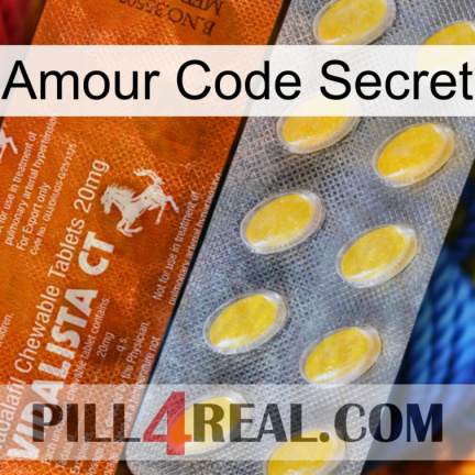 Love Secret Code 42